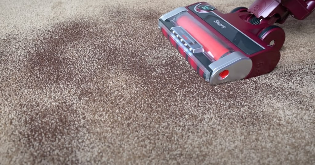 Shark Stratos Upright Vacuuming Surface Debris on Carpet