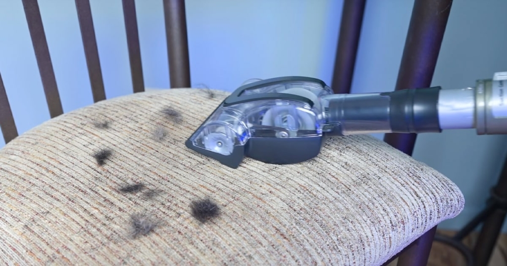 Testing Pet Power Brush - Shark Rotator Lift-Away DuoClean Pro ZU782
